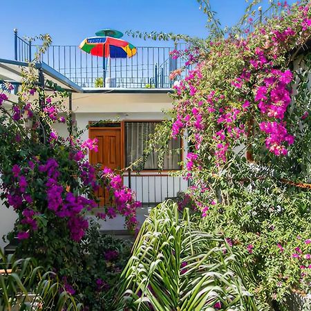 ホテル Casa El Errante アレキパ エクステリア 写真