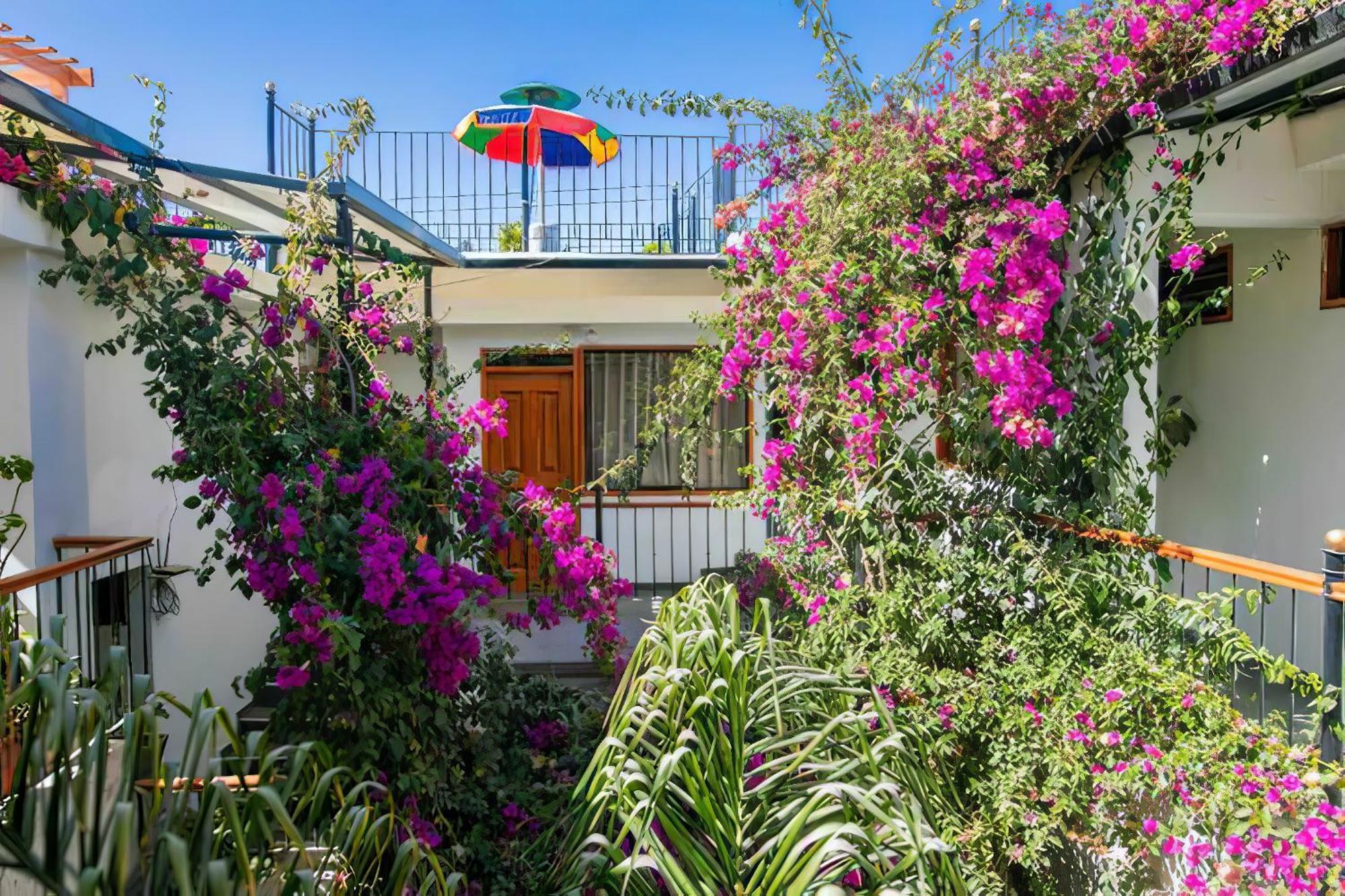 ホテル Casa El Errante アレキパ エクステリア 写真