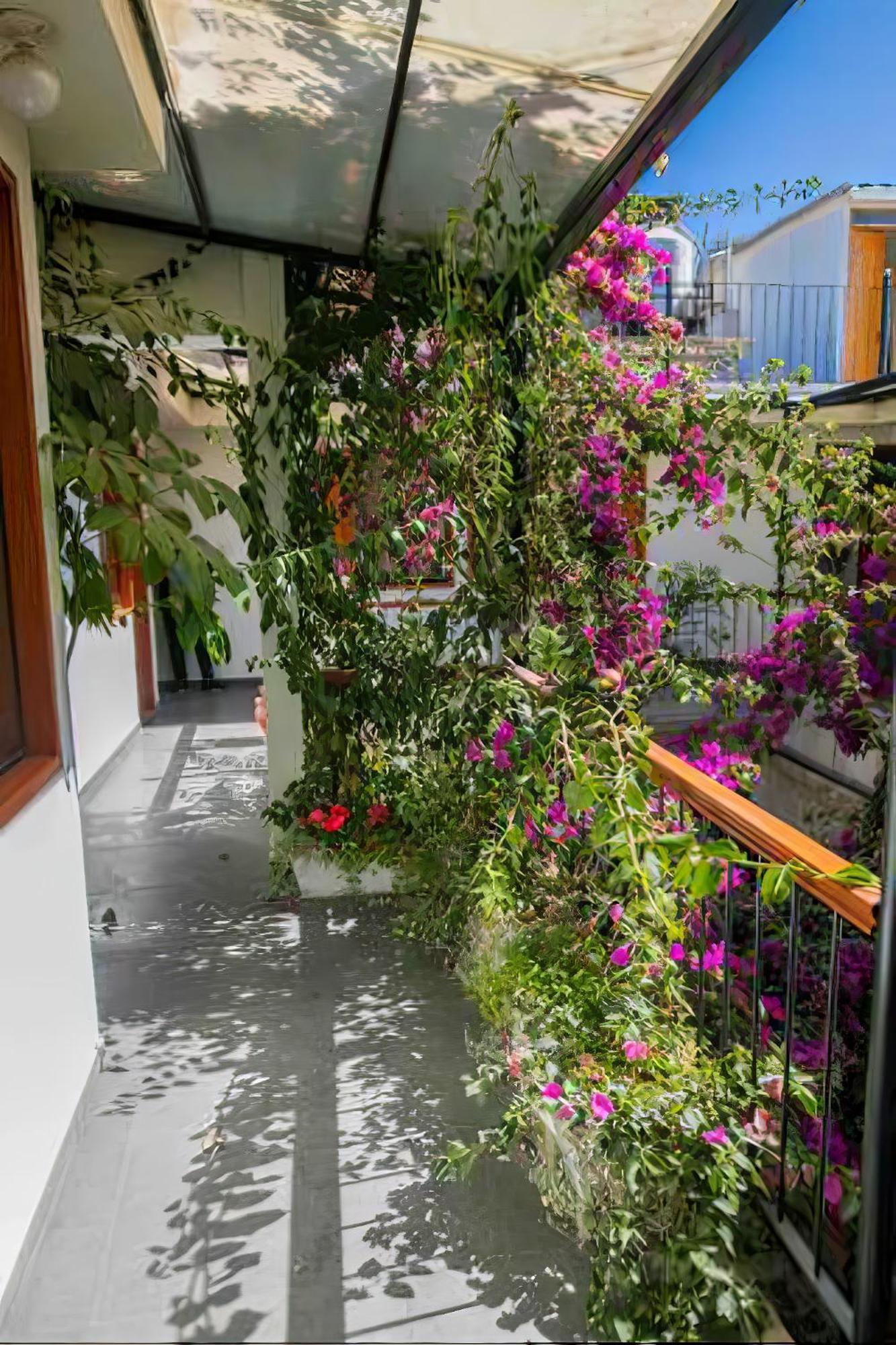 ホテル Casa El Errante アレキパ エクステリア 写真